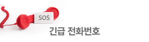 긴급전화번호
